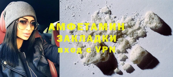 спайс Богданович