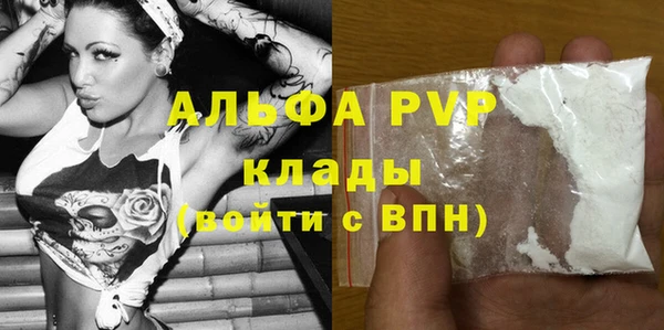 спайс Богданович