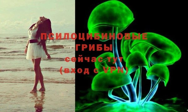 MDMA Богородск