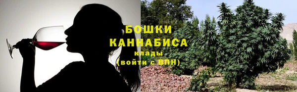 спайс Богданович